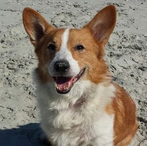 Meet your Posher, Creta